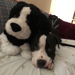 My Mommy listed a Mikimoto Necklace. Come see.